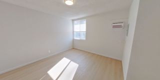 University Manor - Newly Renovated Units just a short walk from Campus! Gallery 145