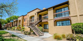 Desert Ridge Gallery 28