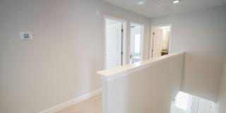 18 Sago Palm Way Gallery 13