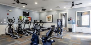 Central Park Gallery 17