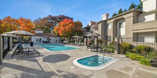 Terra at Portola Park Gallery 16