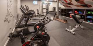 The Frankie Gallery 28