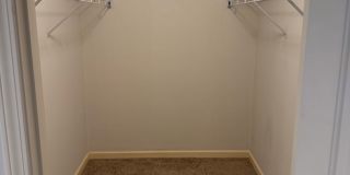 3 BR/2BA | Newly Renovated Single Family Home |Attached garage  | Fenced  backyard | In Cordova! Gallery 18