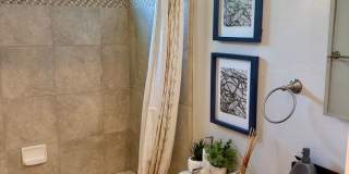 Updated Single Story Home with Cupertino Schools Gallery 9