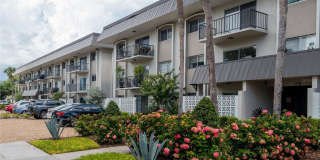 Charming 1BR Condo in Prime Westshore Location – Move-In Ready! Gallery 3