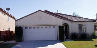 Coming Soon! Gallery 1