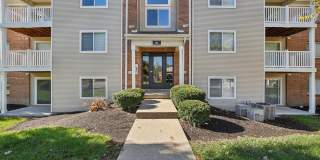 Fox Chase South Gallery 35