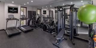 Enclave at Lake Ellenor Gallery 5