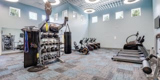 Town Walk at Hamden Hills Gallery 24