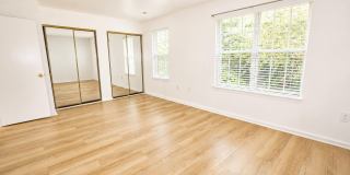 10237 GREEN HOLLY Terrace Gallery 7
