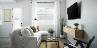 Canopy at Sundance Gallery 37