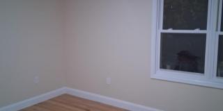 601 E 226th Street unit: 2 Gallery 19