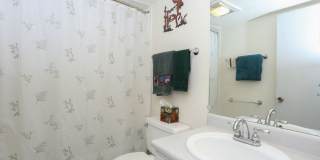 Warrior's Mark Condo! Walk to town and on the bus route! Gallery 7