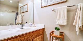 24347 North Oasis Boulevard Gallery 20