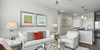 Alinea at Town and Country Gallery 5