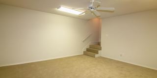 5007 104th Street 5007 104th Street Gallery 20