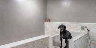 Hanover Autry Park Gallery 17