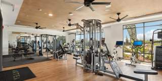 Artea at Southbank Gallery 4