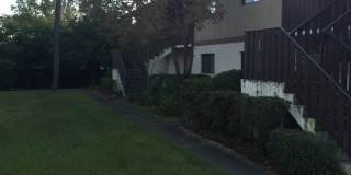 Holly Tree Condominiums Gallery 1