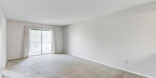 2955 Dove Haven Court Gallery 7