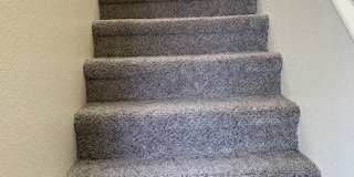 PALM GARDENS Gallery 1