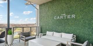 The Carter Gallery 21