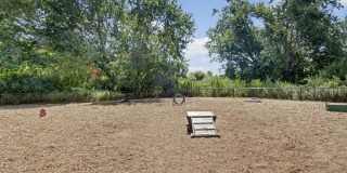 The Royal Belmont Gallery 23