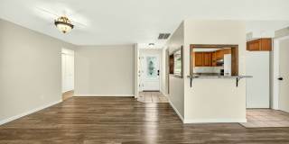 Unfurnished Light-Filled, Beautifully Updated 3-Bedroom Home in Jacksonville Gallery 15