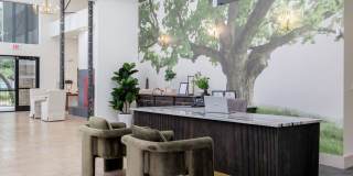Monterra Gallery 12