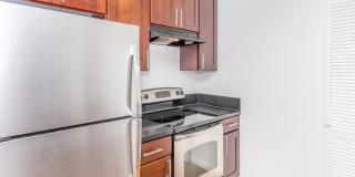 Ocean Vista Gallery 45