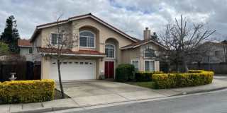 CAMPBELL - Executive 5 bedroom home in a desirable neighborhood Gallery 1