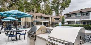 Sofi Dublin Gallery 15