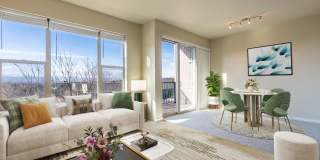 Monaco Row Gallery 33