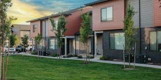 Fossil Cove Gallery 5