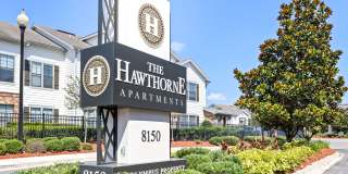 The Hawthorne Gallery 41