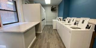 Museum Walk Gallery 6