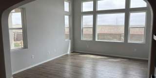 Beautiful Banning Lewis Ranch 5 Bed, 4 Bath Home, 3 Car garage, Great Views and Amenities Gallery 12
