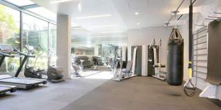 The Civic Gallery 15