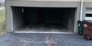 Nandale - Yellow Gallery 24