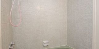 Spacious 4 Bedroom in Mid-Town Fort Collins Gallery 11