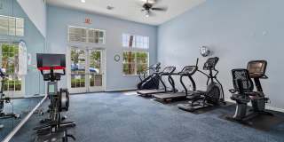 343 BLUE CYPRESS Drive Gallery 72