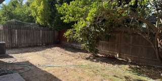 Fully Remodeled 3 Bedroom/ 2 Bathroom Duplex w/ Modern Finishes & Private Yard! Gallery 28
