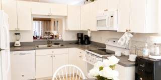 Beautiful 3-bedroom, 2-bath rental home Gallery 6