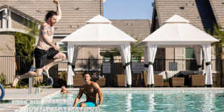 Canopy at Sundance Gallery 82