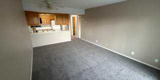 Plaza 93 West Apartments Gallery 110