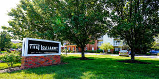 The Gallery Gallery 1