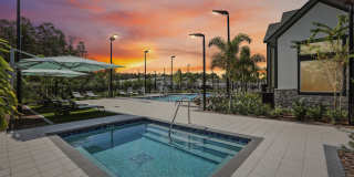 Avilla Silver Palm Gallery 1