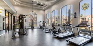 San Montego Gallery 9