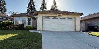 Coming Soon! Gallery 1