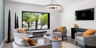 Cortland North Tucson Gallery 25